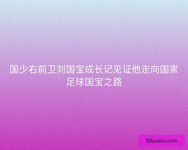 国少右前卫刘国宝成长记见证他走向国家足球国宝之路